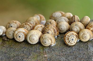 冒险游戏《让我出去》预告 预计登陆全平台